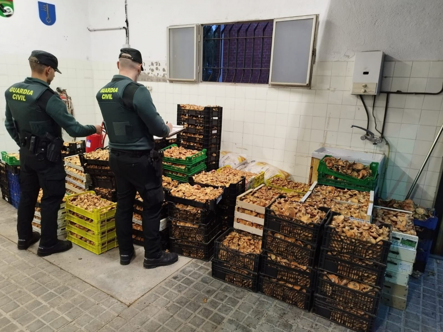 El año pasado la Guardia Civil se incautó dos toneladas de setas recogidas furtivamente en la provincia//Imagen: Guardia Civil.