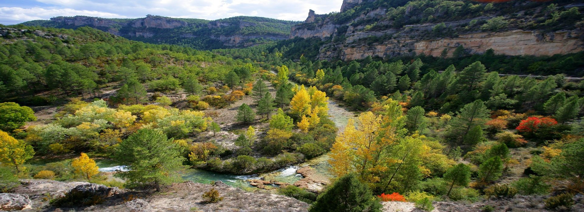Parque Natural del Alto Tajo//Imagen: Red de Áreas Protegidas de Castilla-La Mancha.