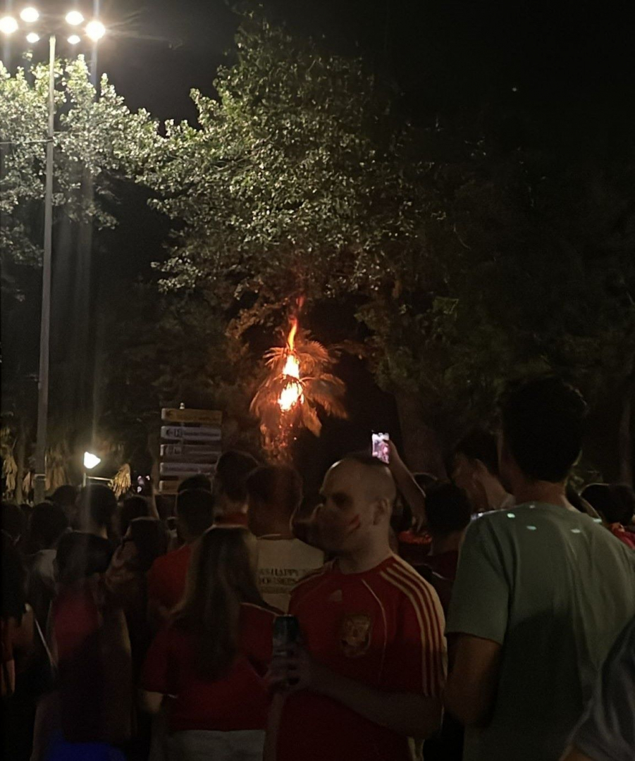Un artefacto pirotécnico causó provocó el incendio de un árbol en Bejanque.