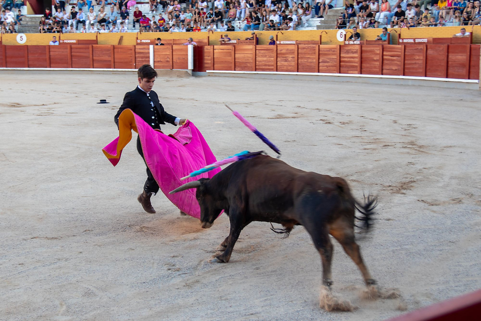 Clase Práctica de la Escuela Taurina de Guadalajara.