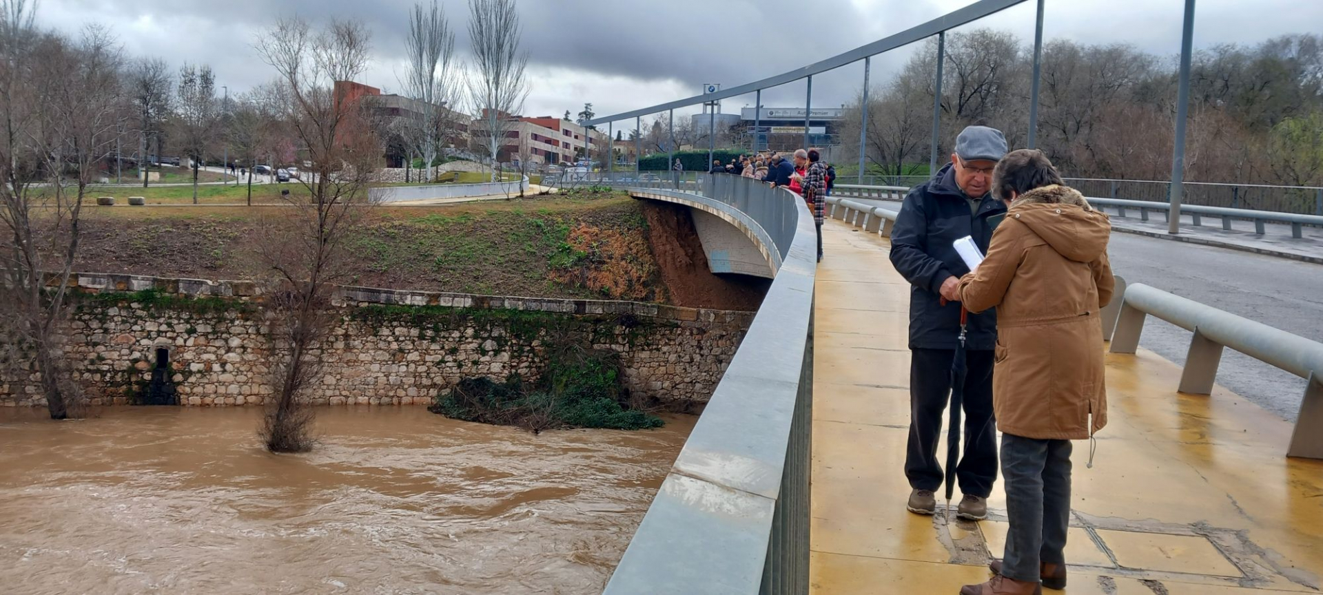 Numerosos curiosos se han acercado esta mañana a observar y fotografíar el Henares.