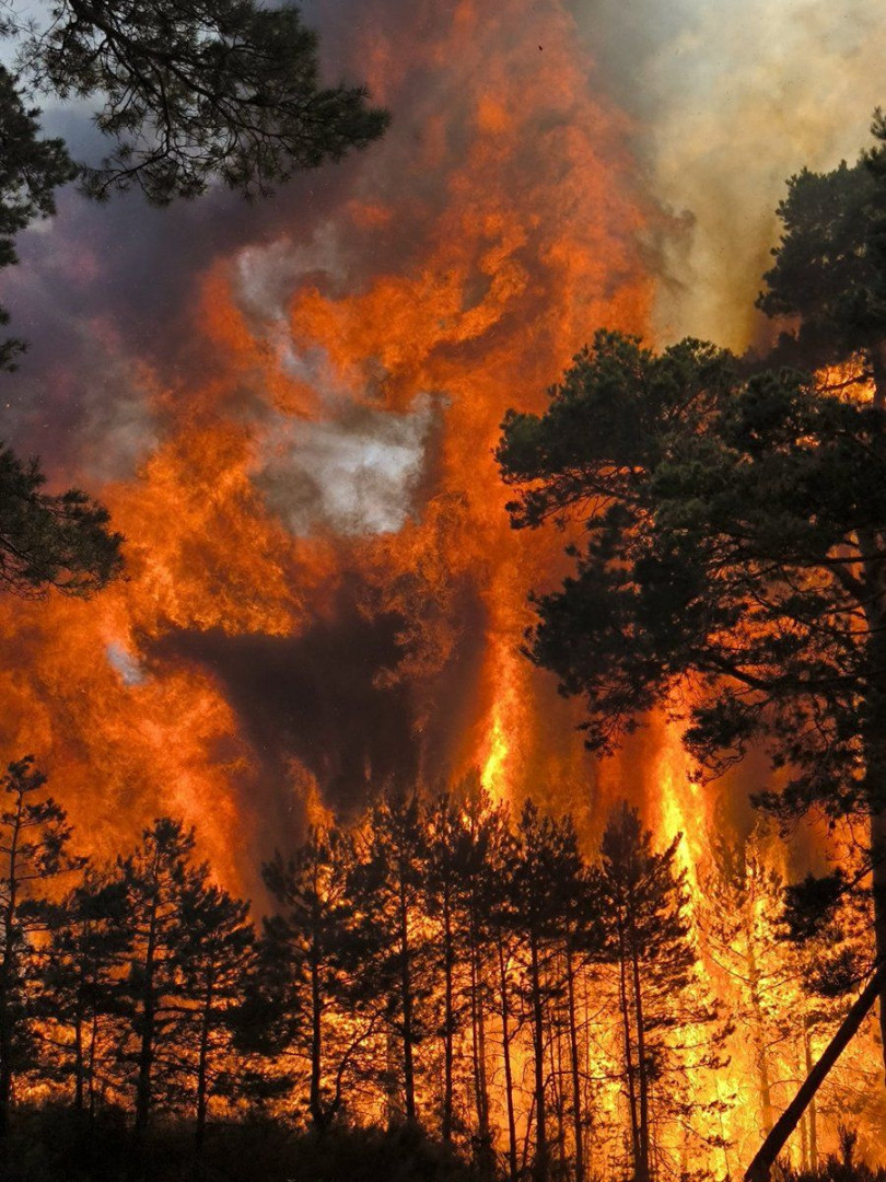 Imagen facilitada por Iñaki Blanco del incendio de este verano en Valdepinillos.