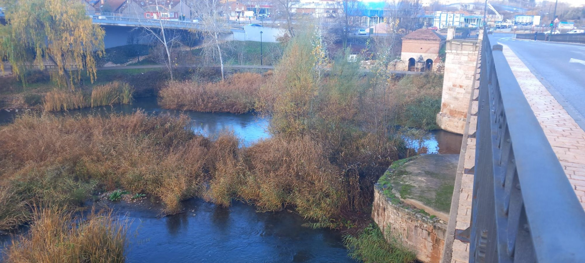 Fomento ha ejecutado las labores de limpieza de la vegetaci&oacute;n de los tajamares.