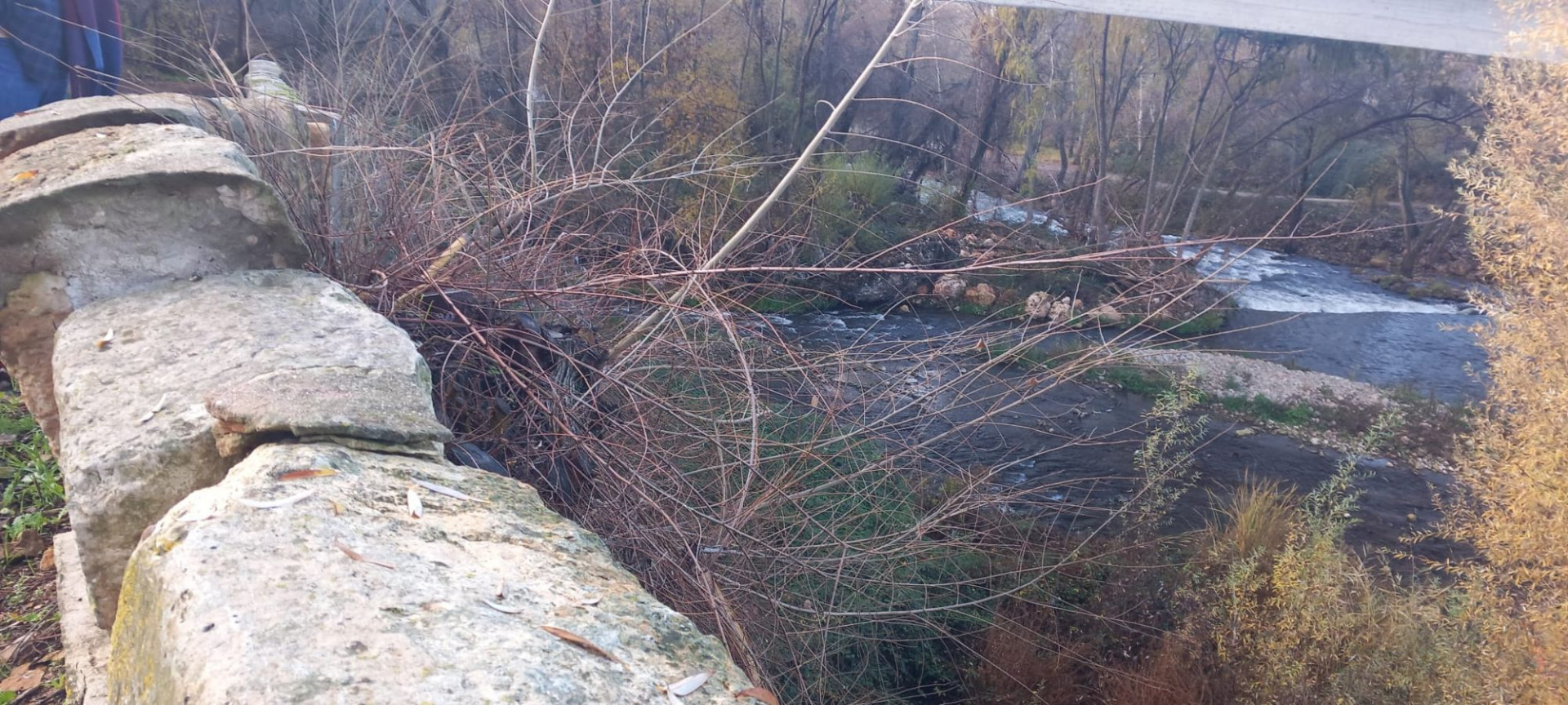 El deteriorio que causan los tocones en el muro es m&aacute;s que evidente, con varias fisuras abiertas.