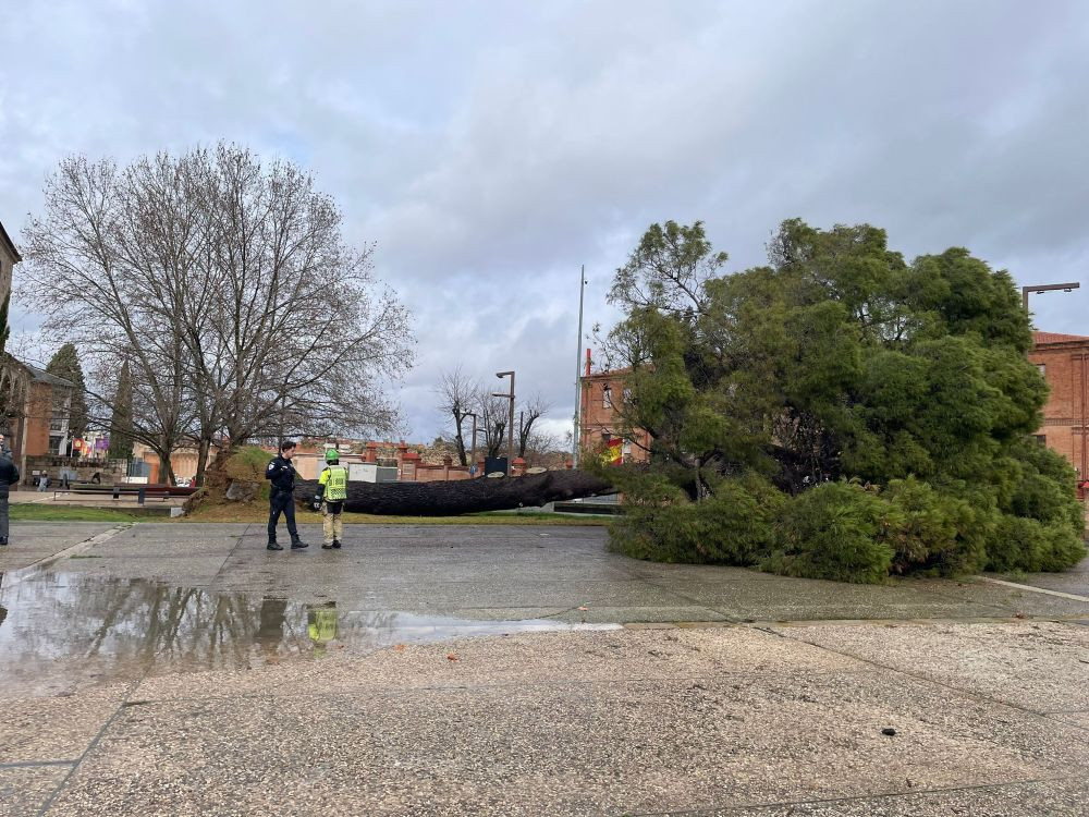 Imagen: El Decano de Guadalajara.