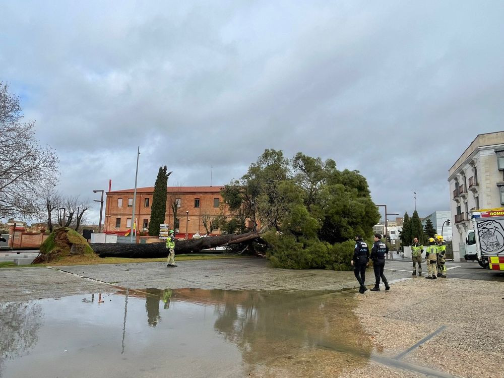Imagen: El Decano de Guadalajara.