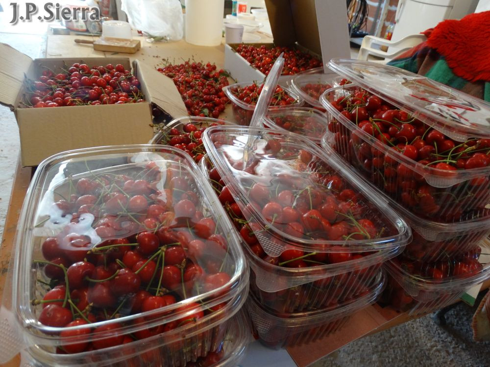 Imagen: J.P. Sierra/'El Rinc&oacute;n de La Isidra'.