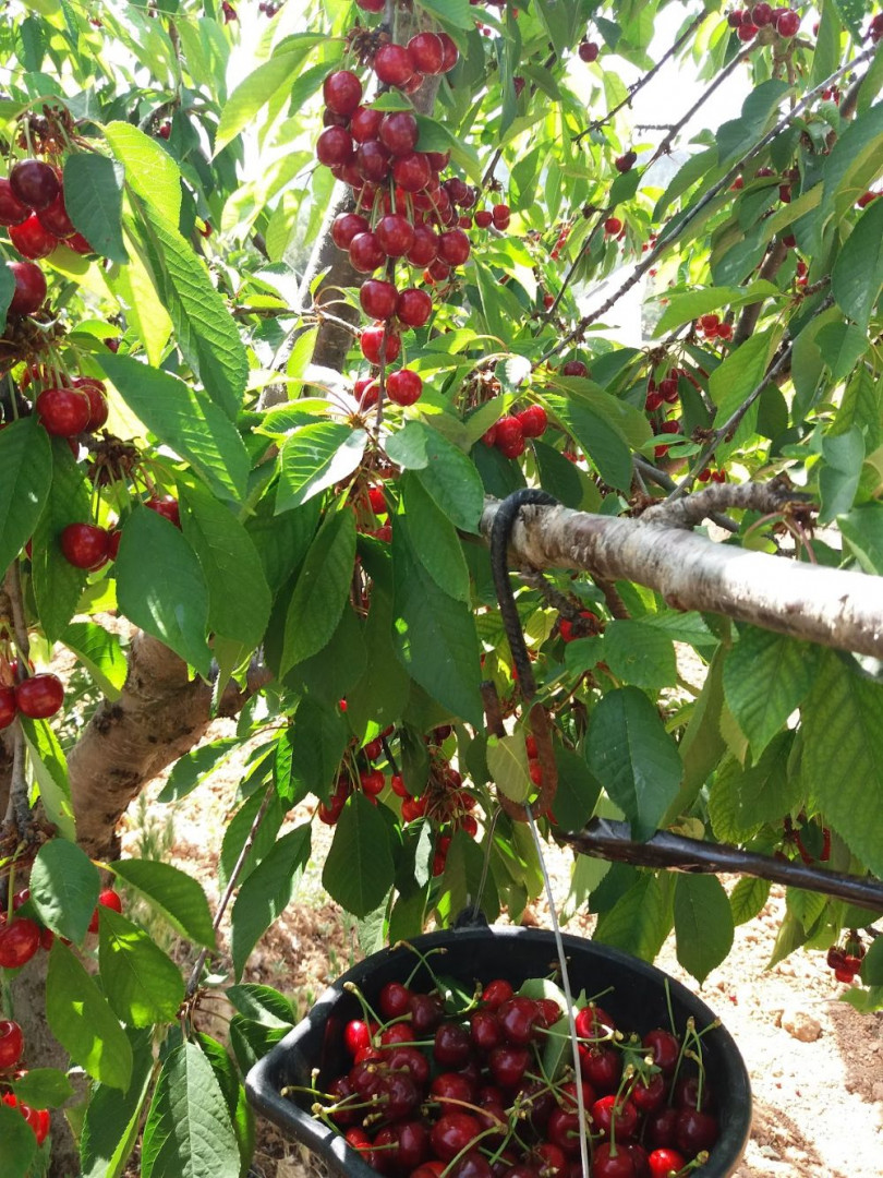 Imagen: El Rinc&oacute;n de La Isidra.