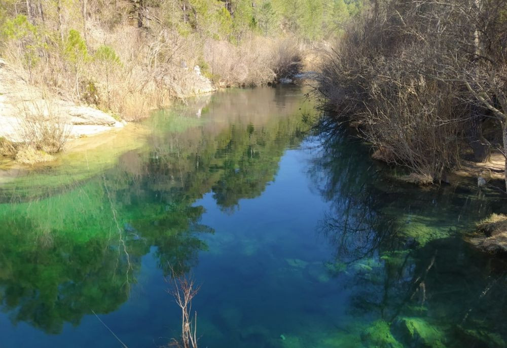 En los cursos de agua del Alto Tajo est&aacute; presente una de las mejores poblaciones de nutria de la regi&oacute;n//Imagen: JJG.