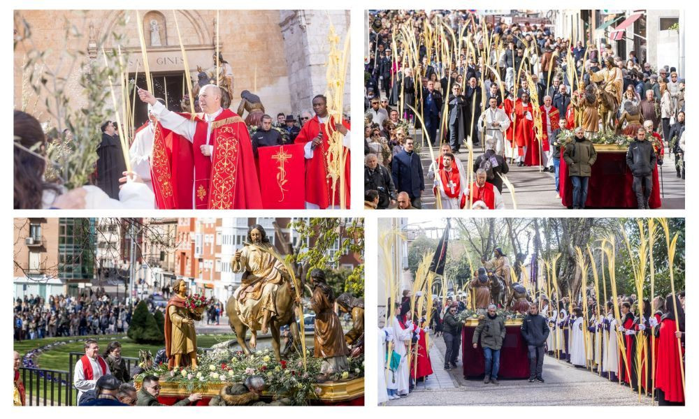 Im&aacute;genes: Ayuntamiento de Guadalajara. 