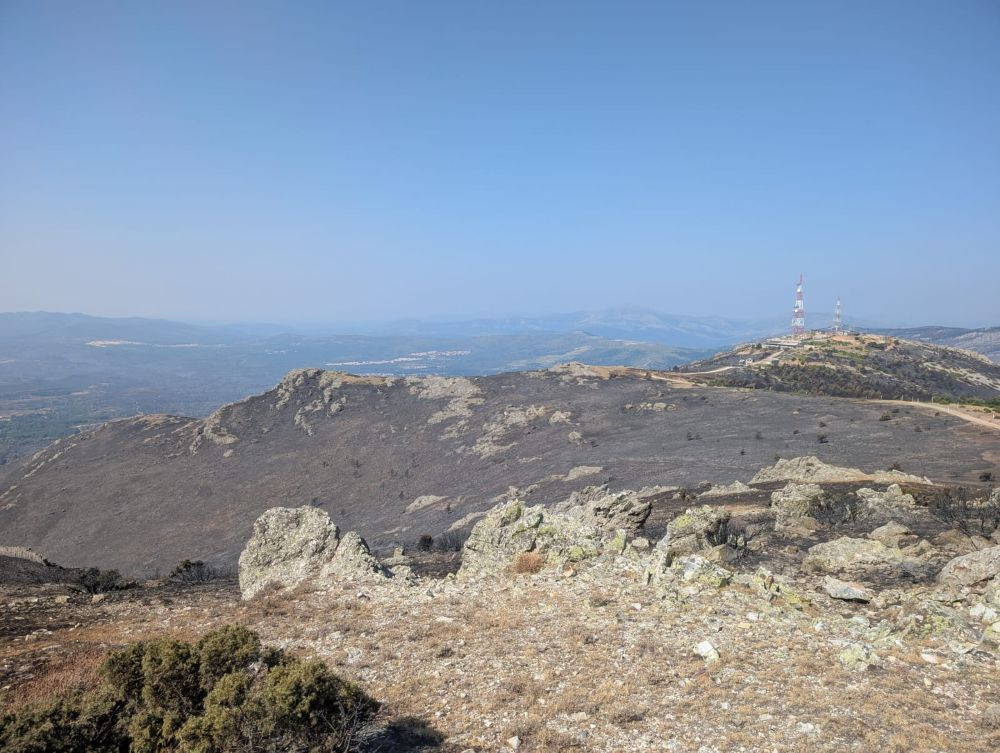 Imagen de la devastaci&oacute;n en del Alto Rey//Imagen: 