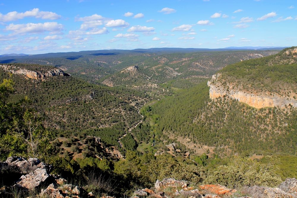 Parque Natural del Alto Tajo desde el mirador conocido como Castillo de Alpetea.