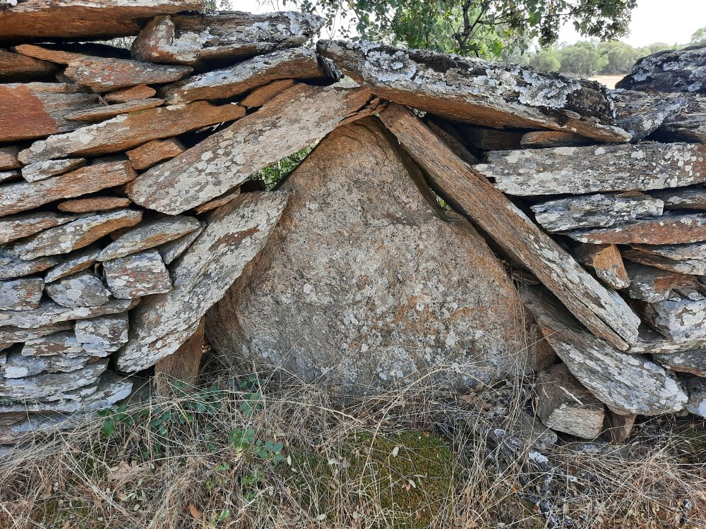 Muro de piedras hincaderas característico del entorno de la Sierra del Alto Rey.