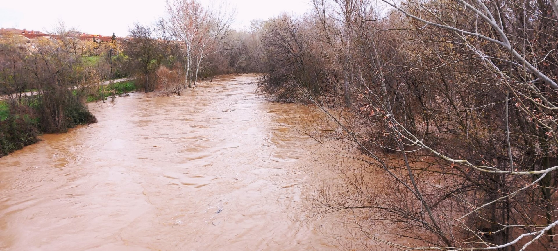 Río Henares a su paso por Guadalajara.