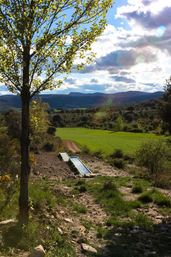 Uno de los sondeos afecta a una zona ZEPA que abarca todo el monte de Cercadillo. Imagen: Asociaci&oacute;n Cultural de Cercadillo.