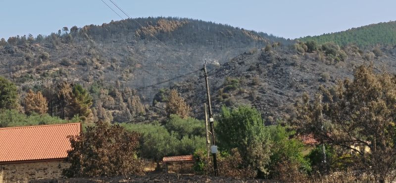 El fuego estuvo muy cerca del casco. Imagen: El Decano