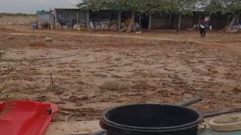 DANA Guadalajara Antitaurina