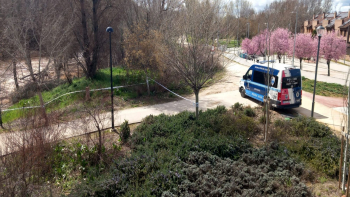 Nueva Crecida Henares