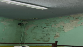 Tenorio Mendocino Local