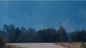 Incendio Manantiales