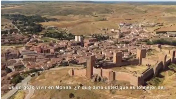 Spot publicitario Molina