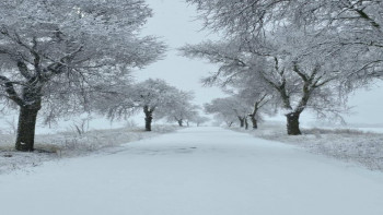 Carretera de La Toba