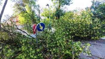 WhatsApp Image 2025-07-04 at 10.53.25.jpg