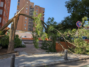 WhatsApp Image 2025-07-04 at 09.50.24.jpg