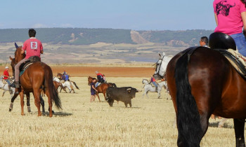ENCIERRO CAMPO NESTOR (17).jpg