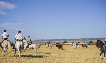 ENCIERRO CAMPO NESTOR (13).jpg