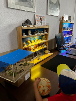 WhatsApp Image 2025-08-04 at 11.23.22 (1).jpg