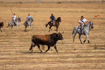 Fiestas de Agosto en Marchamalo