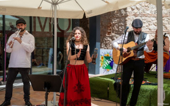 Foto Pedro Manzano AILURADE.jpg