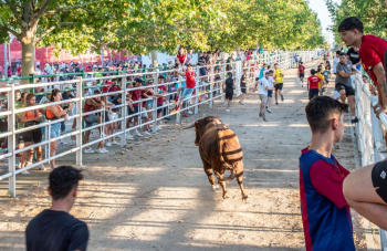 Pregón y primer encierro_73.JPG