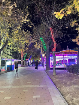 Guadalajara Navidad 2022 (8).png