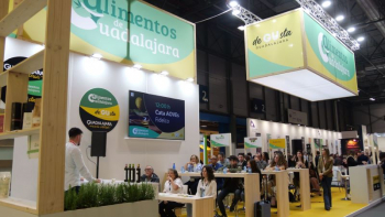 Degustación de aceite de oliva DO Alcarria