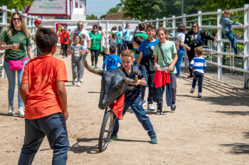 Fiestas Cristo de la Esperanza Marchamalo