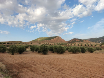 El sector agroalimentario toma aire y confirma su peso en la balanza comercial