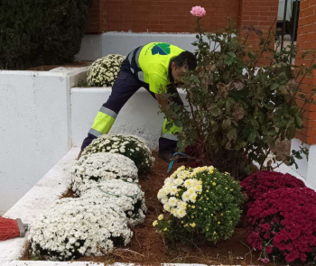 El Ayuntamiento de Cabanillas del Campo mejora y embellece el Cementerio Municipal 