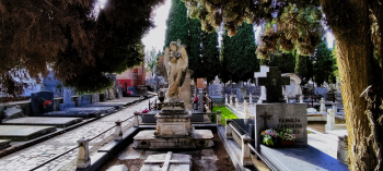 El Ayuntamiento de Guadalajara prevé más de 35.000 visitantes en el Cementerio Municipal con motivo de la Fiesta de Todos los Santos