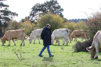 El PP presentará una iniciativa parlamentaria en las Cortes regional para pedir soluciones ante los ataques del lobo en la Sierra Norte de Guadalajara