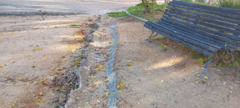 LOS VECINOS DENUNCIAN. Abandonados