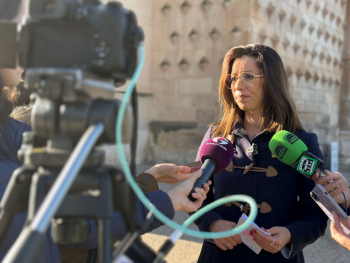 El PSOE afea a Guarinos el retraso en el encendido del alumbrado navideño en la capital