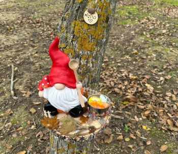 Javier García, el vigilante mágico del Parque de los Gnomos de Quer