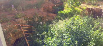 LOS VECINOS DENUNCIAN. Peligro en la plaza de la Diputación