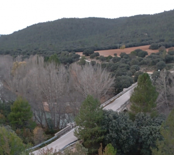 Una gestión forestal eficaz puede disminuir los efectos de catástrofes como la última DANA