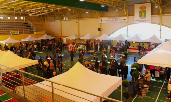 La Feria del Comercio de Cabanillas promueve las compras de Navidad en el comercio local