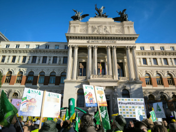 Más de 200 agricultores y ganaderos de Guadalajara se manifiestan en Madrid por el futuro del cereal 