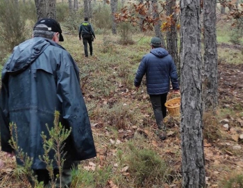 Guadalajara acumula la mayoría de incidentes de buscadores de setas perdidos en la región esta temporada