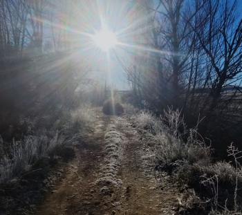 Diciembre de 2024 fue un mes muy cálido y muy seco, según los datos de la Aemet